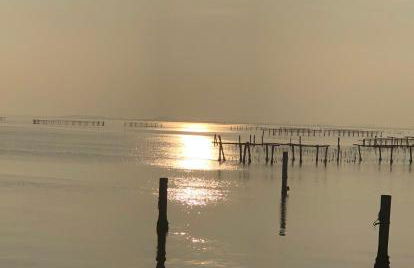 Mare&Terra... Alloggi nel Delta - Foto 37