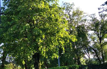 Casa Via Castelmonte - Photo 14