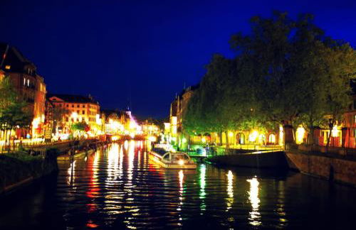 grand loft avec patio proche des quais Strasbourg - Foto 33