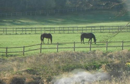 Beautiful cozy 3 bedroom 2 bathroom apartment - Foto 7