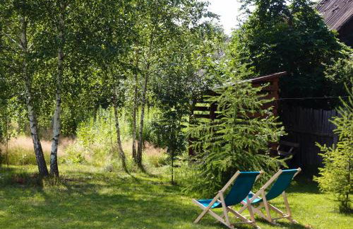 Jałówka - odpocznij na Podlasiu - Foto 4