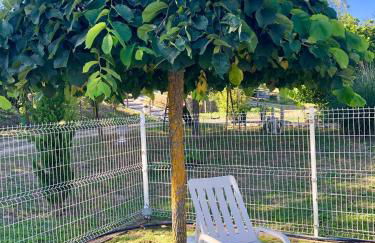 Casa da Quinta da Prelada Simão partie basse - Foto 22