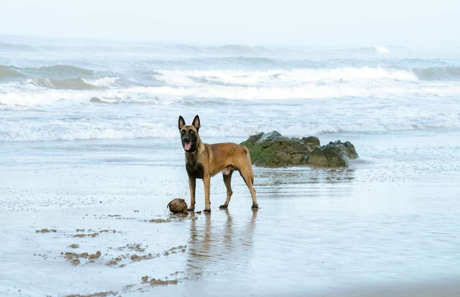 Villas Oasis - Foto 25