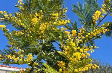 Villa Centenary Goose - Foto 35