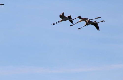 Casa do Canto - Uma casa no campo, perto da praia. - Foto 32