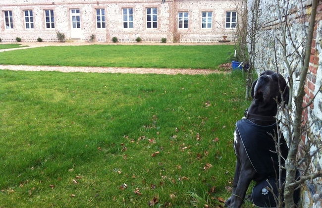 Le Manoir de Briquedalles - Foto 23