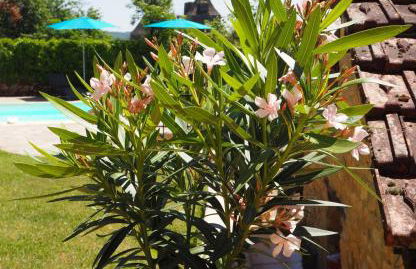 Le Clos de la Musardise - Gîtes de Charme avec Piscine Chauffée - Foto 45