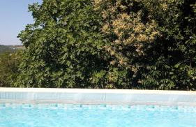 La Cascina di Muttley - Foto 39