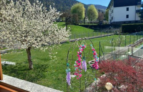 The Green Owl - Foto 37