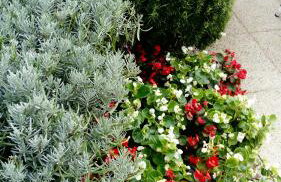 Apartment Nena - Foto 32