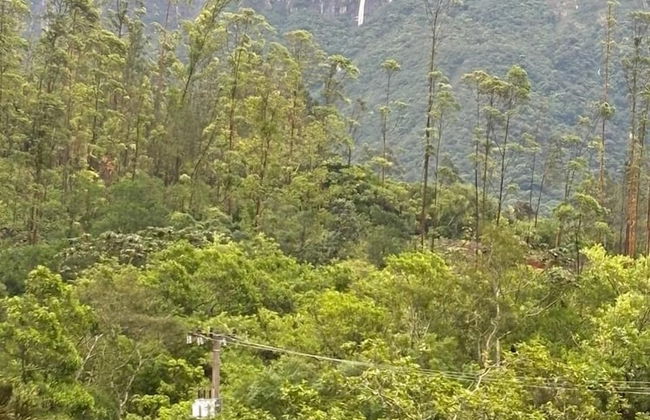 Vila Vicença Natural Refuge - Photo 41