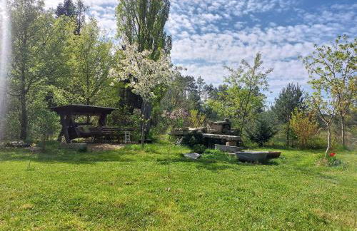 Apartment GNUBBEL am Wald - Foto 5