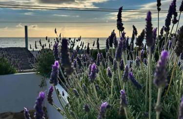 Casa Aurora ~ A Modern, welcoming apartment - Foto 31