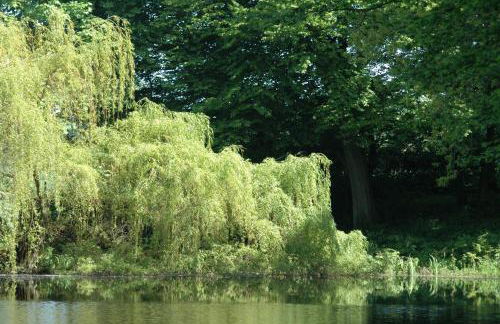 Lotte im Schloss - Photo 22