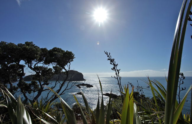 Pacific Rendezvous - Foto 45