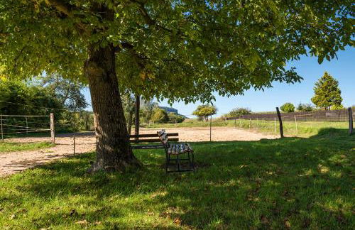 Landhaus Wohnung - SAUNA, Balkon, Netflix, Parkplatz - Foto 20