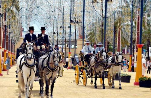 Apartamento Centro Sol Plazuela - Foto 14