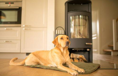 Grüne Hufe - Foto 4