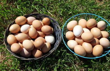 Alloggio Casale Stella - Foto 41