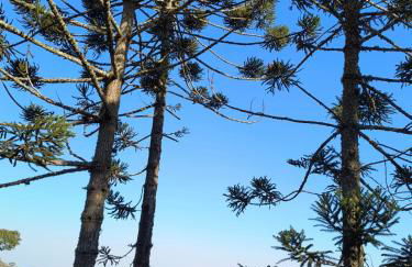 Pousada do Artista - Photo 13