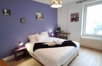 Hôtel des Cousines Anais Appartement 4 personnes Nancy - Foto 11