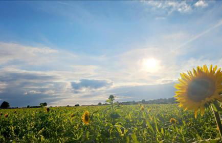 Wunschhof the dreaming farmhouse - Foto 21