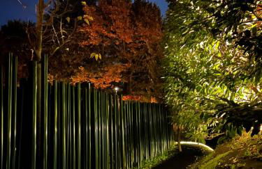 Les Cols Pavellons - Foto 19