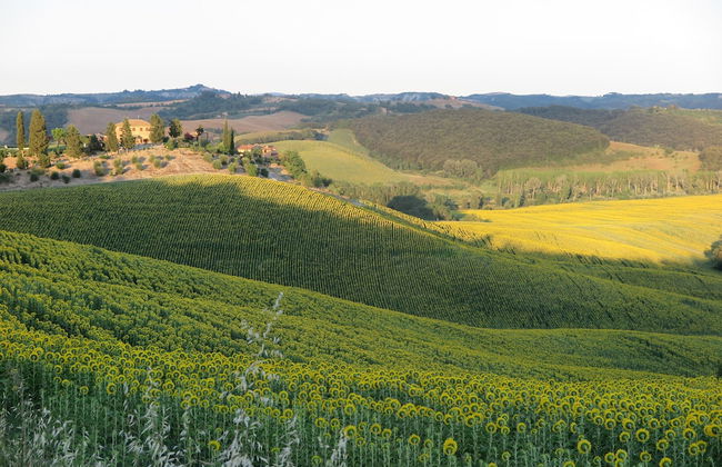 San Lorenzo Agriturismo - Foto 57