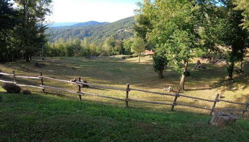 Agriturismo l'Arbo - Foto 5