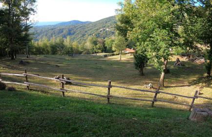 Agriturismo l'Arbo - Foto 5