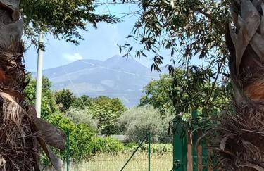 Risveglio sull'Etna - Foto 7