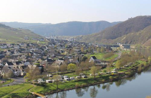 Ferienwohnungen Am Bruttiger Moselsteig - Foto 78