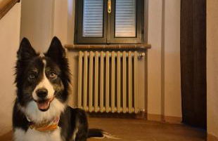 Agriturismo Dei Magi - Foto 25