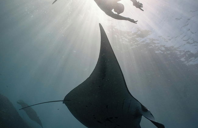 Nyaman Catamaran - Foto 31