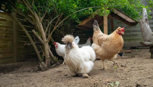 Slow Travel, aber auch gut! Wohnmobil - Foto 5