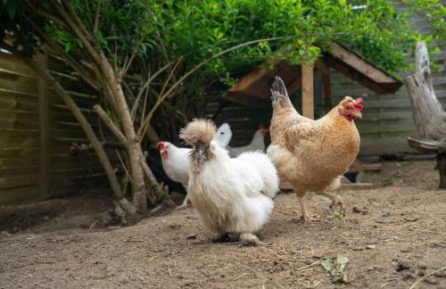 Slow Travel, aber auch gut! Wohnmobil - Foto 5