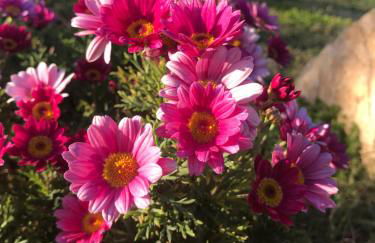 RusticHome - Foto 17