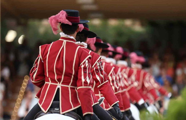 Spectacle équestre aux Écuries royales - Photo 12