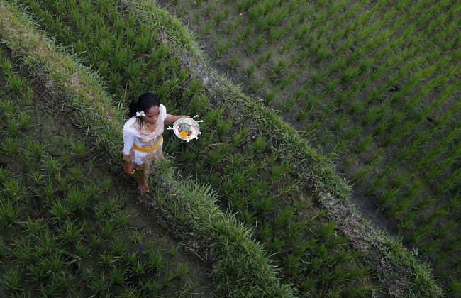 Villa CinCin - Foto 63