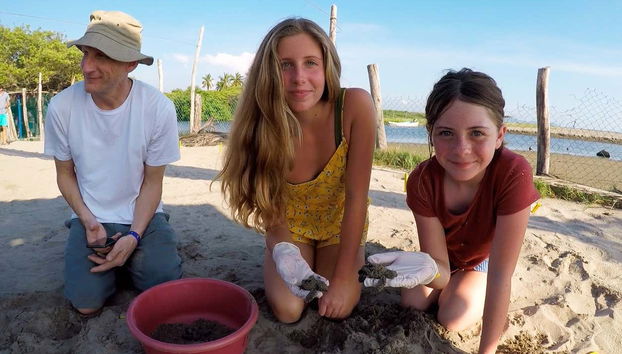 We'll learn all about turtles