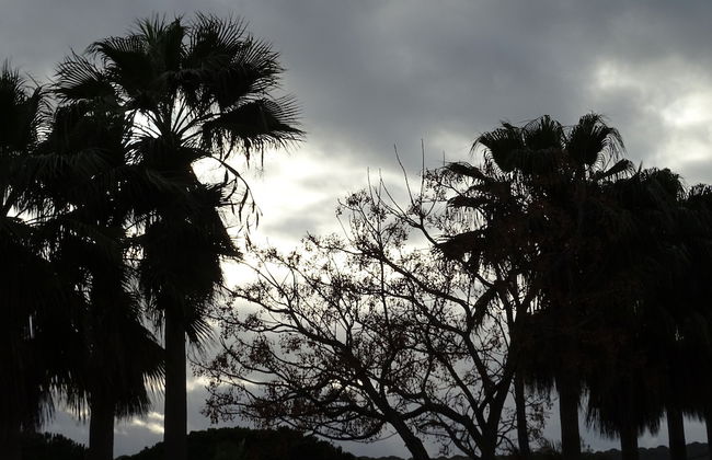 SUEÑA LA BREÑA - Foto 41