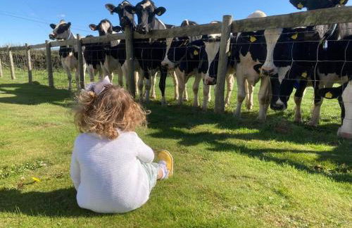 The Old Stable, Llancarfan - Photo 15