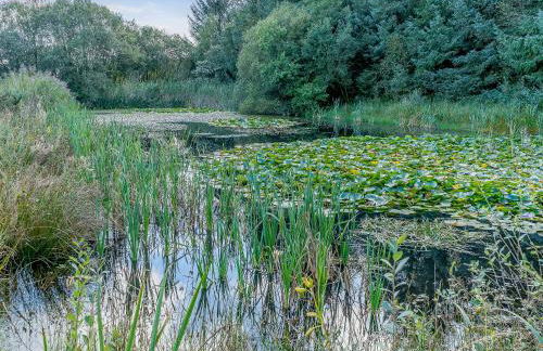 The Cottage-Uk32854 - Photo 22