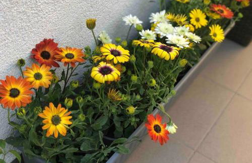 Špansko view -Comfy apartment - Foto 36