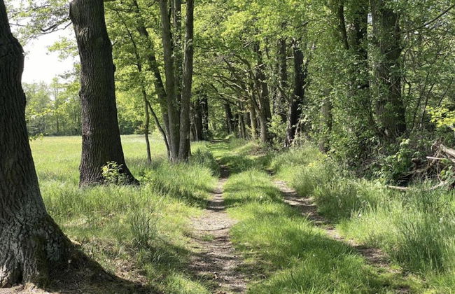 Waldblick Forest Retreat - Foto 41