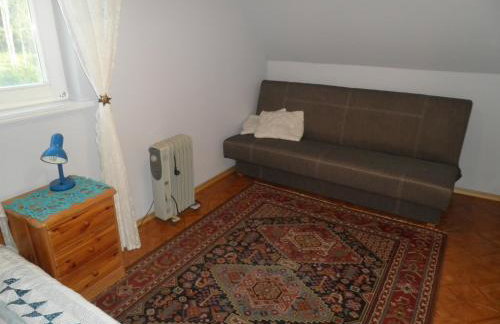 Pokoje w lesie - Foto 19