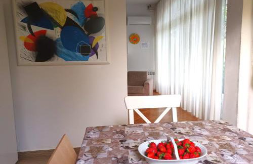 Jane's Garden - Foto 8