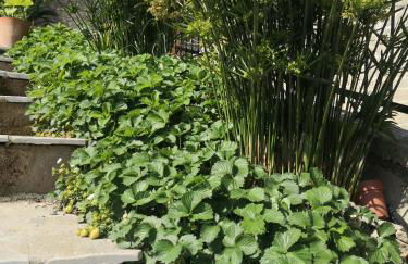 Casa Leonardo a Poggi - Foto 67