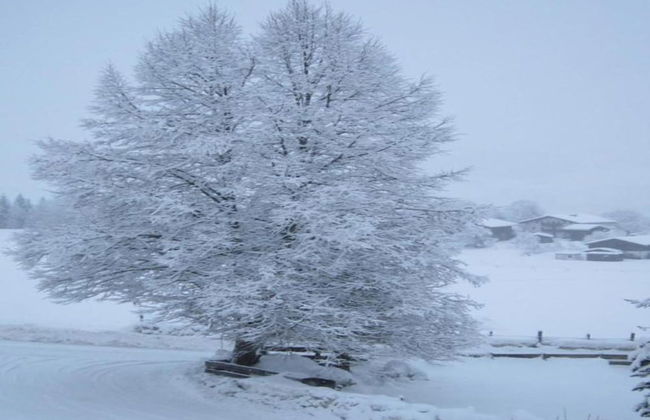 Chalet in Niedernsill Near Ski Slopes - Foto 33