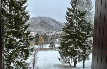 Melodia del bosco - Photo 22